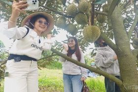 Về quê nghỉ hè kết hợp du lịch