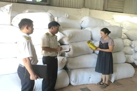 Ngành Thuế đẩy mạnh tuyên truyền, đồng hành cùng hộ kinh doanh