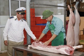 Kiên quyết đình chỉ cơ sở giết mổ trái phép