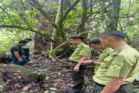 Tái thả động vật hoang dã quý hiếm về tự nhiên