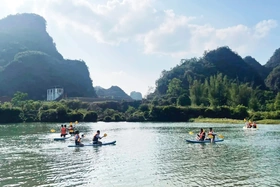 Hành trình “chữa lành” giữa đại ngàn xanh