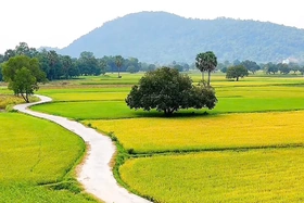 Về An Giang du lịch ngày hè