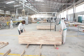 Kỳ I: Kinh tế tư nhân khẳng định vị thế