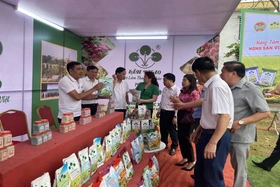 Cung ứng trên 5.700 tấn phân bón trả chậm cho nông dân