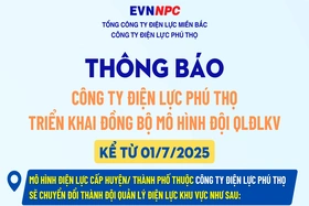 Triển khai đồng bộ mô hình Đội quản lý điện lực khu vực từ 1/7