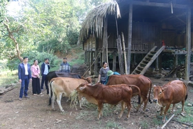 Tân Sơn thực hiện hiệu quả các dự án giảm nghèo bền vững