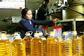 Lo ngại dầu ăn giả, người dân tự ép dầu để sử dụng