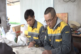 Xây dựng thương hiệu nếp Gà gáy Mỹ Lung