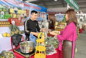 Động lực thúc đẩy phát triển kinh tế tập thể trong giai đoạn mới