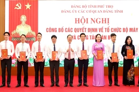 Công bố các quyết định thành lập tổ chức Đảng trực thuộc Đảng bộ các cơ quan Đảng tỉnh