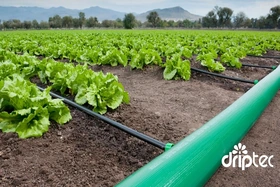 Top 5 loại ống phổ biến dùng trong hệ thống tưới bạn nên biết