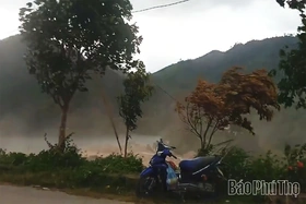 Phú Thọ: Một người chết, nhiều công trình bị hư hại do mưa giông