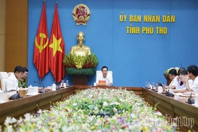 Quyết liệt phòng, chống bệnh Dịch tả lợn Châu Phi trên địa bàn tỉnh