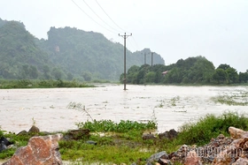 Báo động II trên sông Bùi và báo động I trên sông Bứa khi nước lũ dâng cao