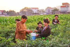 Khởi sắc kinh tế - xã hội ở Đạo Trù