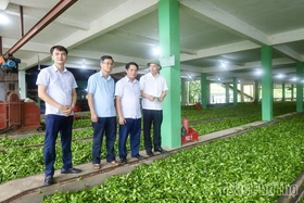 Đoàn kết, sáng tạo; đẩy mạnh thực hiện chuyển đổi số; huy động và sử dụng hiệu quả các nguồn lực, xây dựng xã Minh Hòa phát triển bền vững