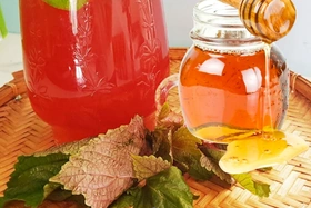 Uống nước lá tía tô mật ong có tác dụng gì?