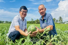 Mô hình tiền triệu giữa lòng đô thị hóa