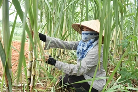 Mường Vang huy động tối đa nguồn vốn đầu tư để bứt phá