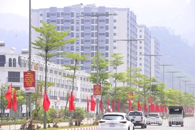 Cán bộ, đảng viên nêu gương trong xây dựng đô thị văn minh