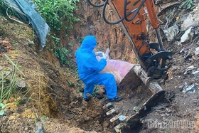 Tiếp tục phát sinh 2 xã mới có ổ bệnh dịch tả lợn Châu Phi