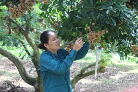 Nật Sơn hướng đến nền nông nghiệp xanh, bền vững