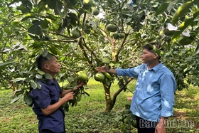 Làng văn hóa quốc phòng - an ninh củng cố thế trận lòng dân