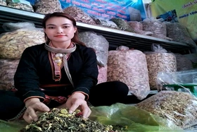 Người Dao phường Thống Nhất: Từ nghề thuốc Nam đến khởi nghiệp xanh