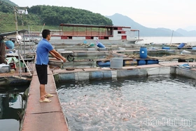 Hạ tầng - tạo đột phá cho phường Thống Nhất