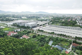 Vững bước sau sáp nhập, hướng tới phát triển toàn diện và bền vững