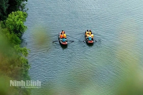 Đi Tràng An coi… rong