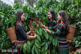 Khai phá tiềm năng phát triển du lịch canh nông