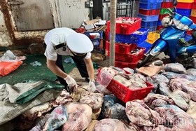 Khó khăn trong phòng chống bệnh Dịch tả lợn châu Phi