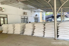 Học sinh Phú Thọ cần Nhà nước hỗ trợ 4.314.251 kg gạo theo Nghị định 66/2025/NĐ-CP 