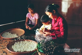 Hưng Yên - xứ nhãn