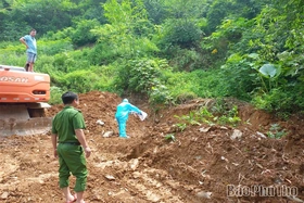 Dịch tả lợn châu Phi: Nỗ lực dập dịch nhưng vẫn gian nan