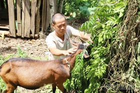Biến con giống thành sinh kế, giúp dân thoát nghèo