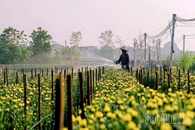 Xuân Lãng gỡ khó việc vận hành chính quyền địa phương 2 cấp