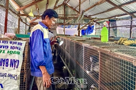 Phong Hiệp vươn lên với nhiều mô hình kinh tế hiệu quả