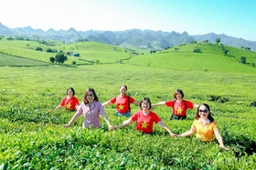 Khám phá du lịch Đồi chè Long Cốc