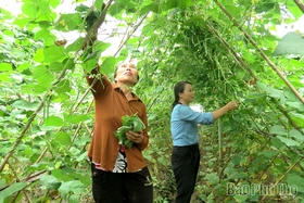 Động lực để người dân Hoàng Cương vươn lên thoát nghèo