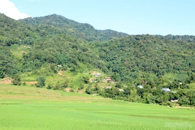 Người giữ lửa ký ức “mùa thu tháng Tám” ở chiến khu Thạch Yên