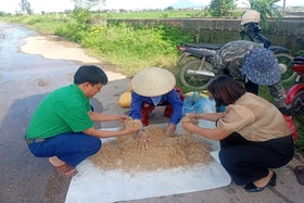 Chủ động diệt chuột bảo vệ lúa vụ Mùa