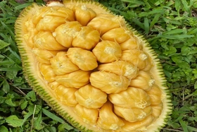 Giá cả thị trường ngày 30/7/2025