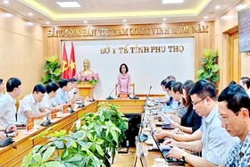 Bộ Y tế kiểm tra việc thực hiện nhiệm vụ được phân cấp về lĩnh vực y tế