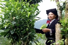 Chiến khu Giằng Xèo - Nơi truyền thống cách mạng soi đường