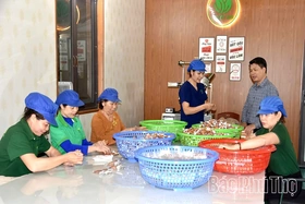 Nâng tầm giá trị dược liệu thành sản phẩm OCOP