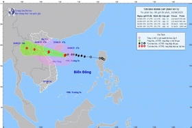 Bão số 5 mạnh cấp 13, giật cấp 15: Cảnh báo nguy hiểm từ Thanh Hóa đến Quảng Trị