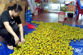 “Tấm vé thông hành” cho đặc sản địa phương