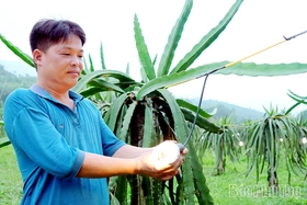 Đổi thay ở vùng quê cách mạng Hợp Lý